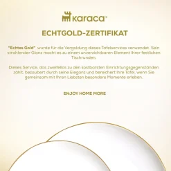 Karaca Stream Bone Middle 53-teiliges Tafelservice für 12 Personen Gold Online